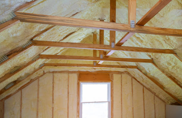 Best Cellulose Insulation  in Blowing Rock, NC