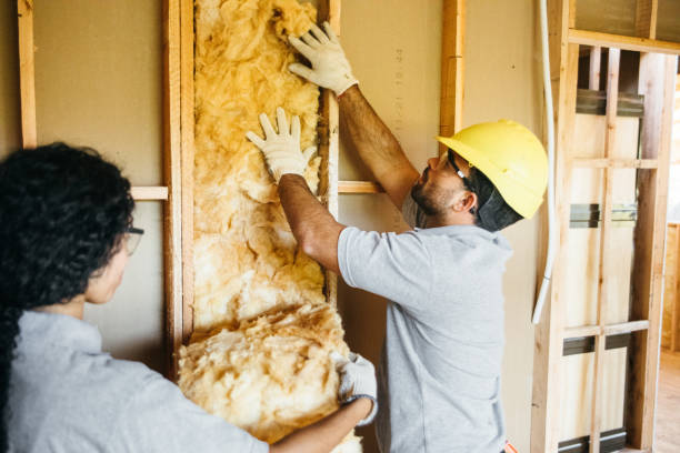 Best Insulation Inspection Services  in Blowing Rock, NC