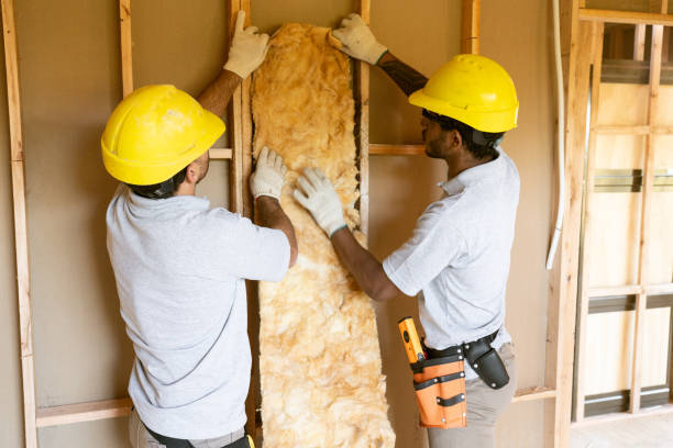 Best Insulation for New Construction  in Blowing Rock, NC