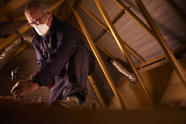 Best Fiberglass Insulation  in Blowing Rock, NC