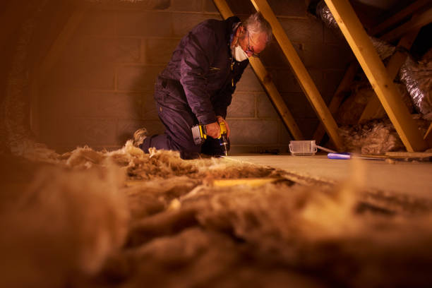 Best Professional Insulation Contractor  in Blowing Rock, NC
