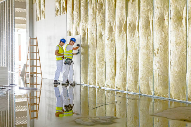 Best Commercial Insulation Contractor  in Blowing Rock, NC